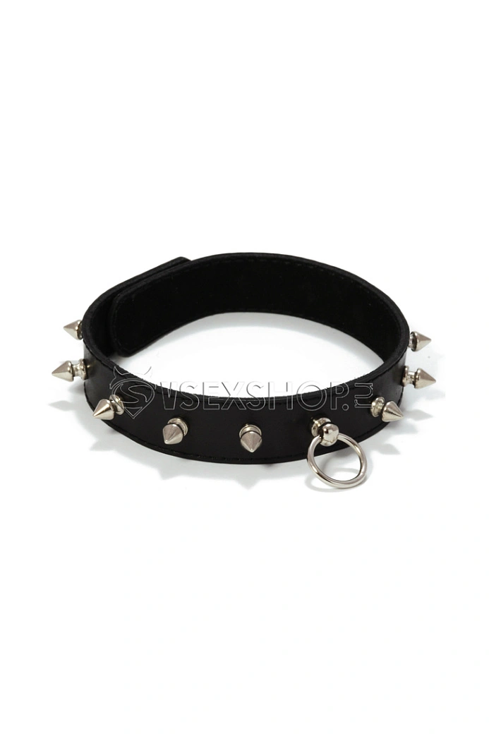 Ошейник "Цезарь"